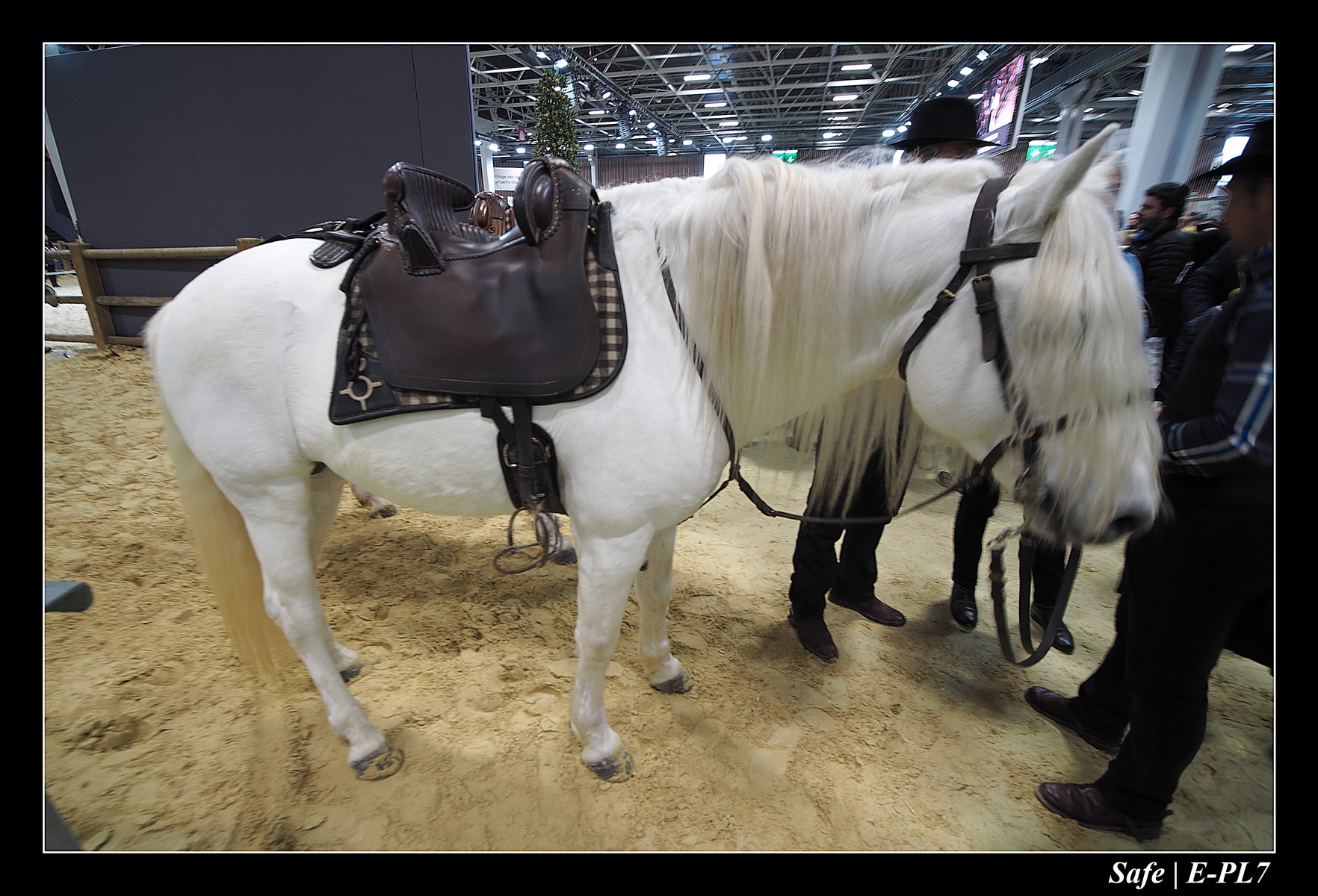 2020 - 02 - Salon agriculture 17